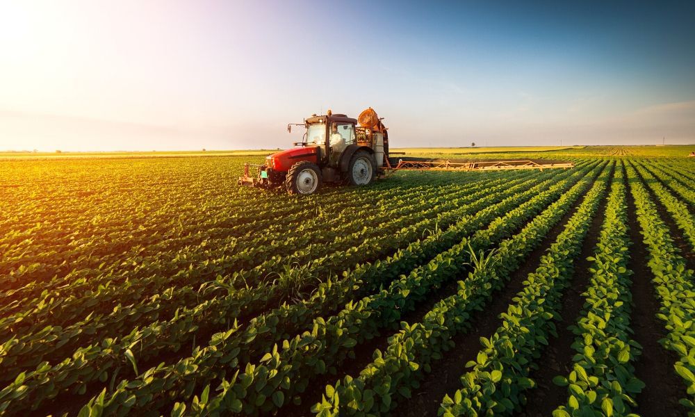 How to Start a Business in Agriculture