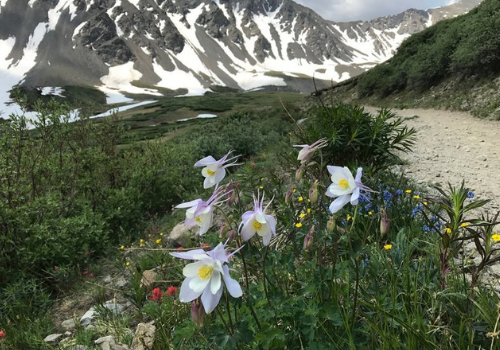 Colorado