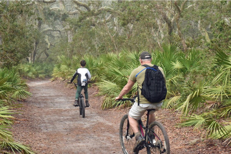 cumberland island
