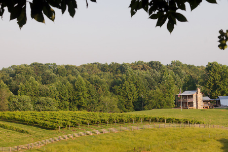 dahlonega wineries