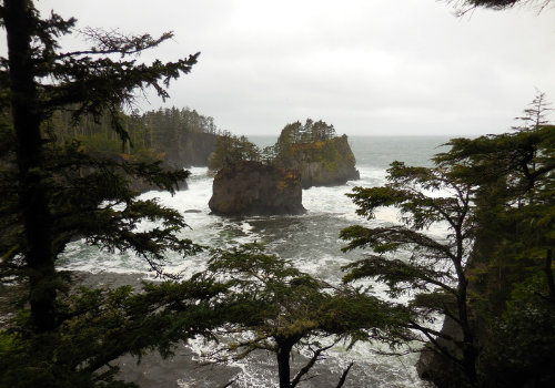 washington